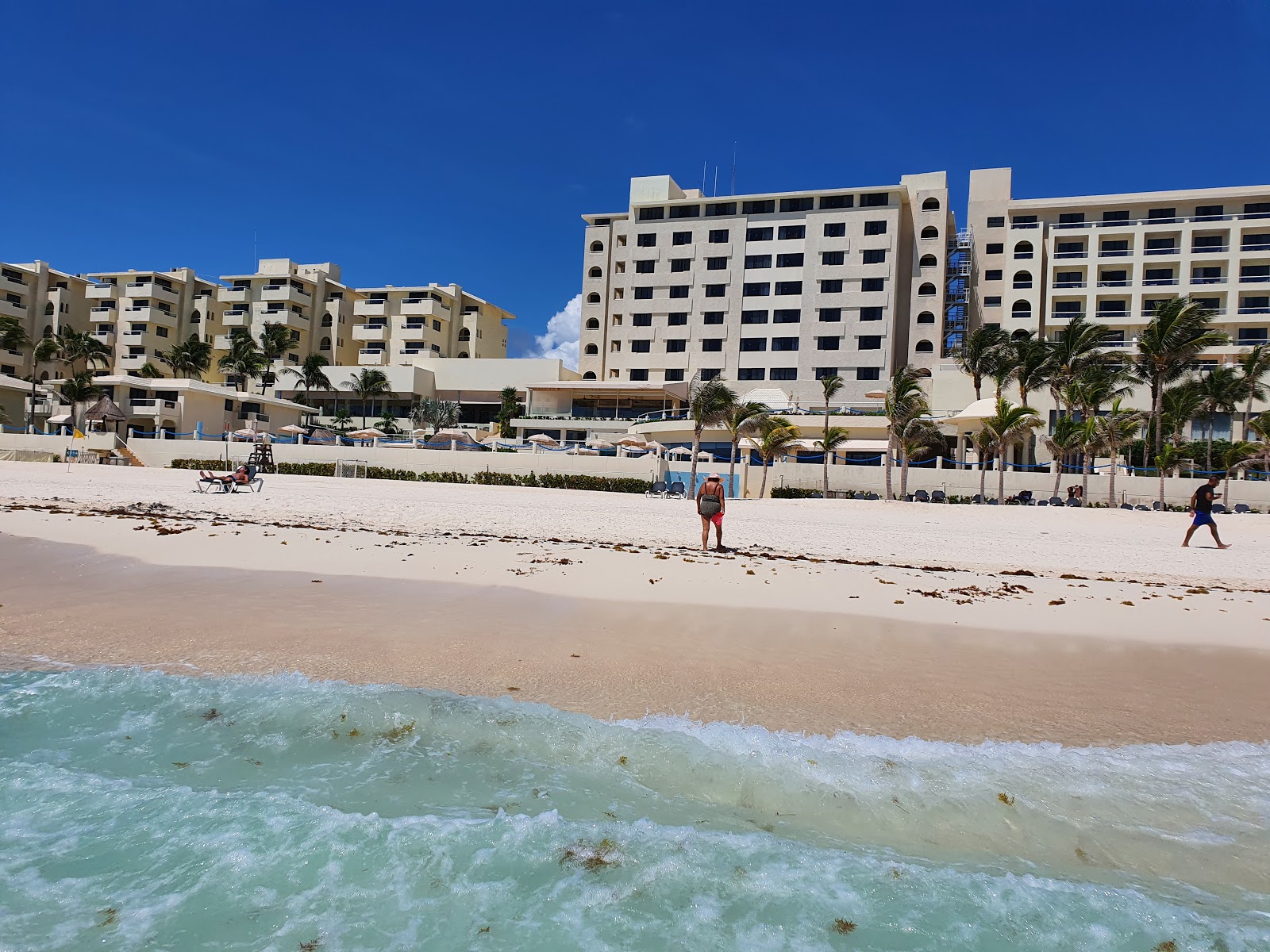 Playa Marlin photo #9