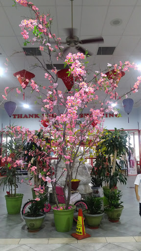 Grocery Store «Ben Thanh Plaza and Central Market», reviews and photos, 1818 E Pioneer Pkwy #100, Arlington, TX 76010, USA