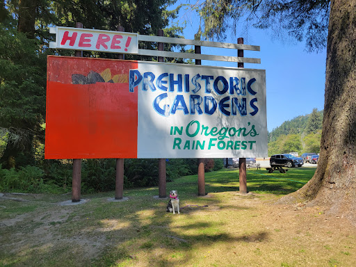 Tourist Attraction «Prehistoric Gardens», reviews and photos, 36848 US-101, Port Orford, OR 97465, USA