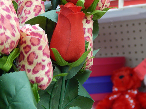 Thrift Store «Dav Thrift Store», reviews and photos, 1749 S Campbell Ave, Springfield, MO 65807, USA