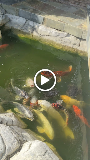 Gas Station «Chevron», reviews and photos, 25991 Crown Valley Pkwy, Laguna Niguel, CA 92677, USA