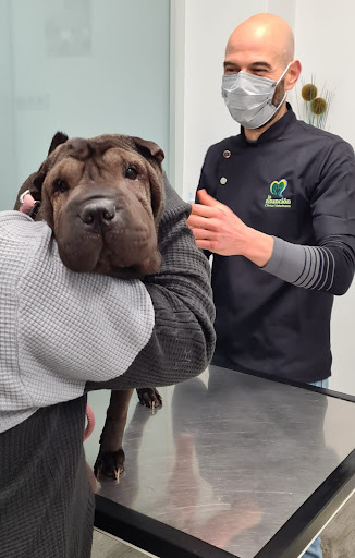 Clínica Veterinaria La Asunción en Elche