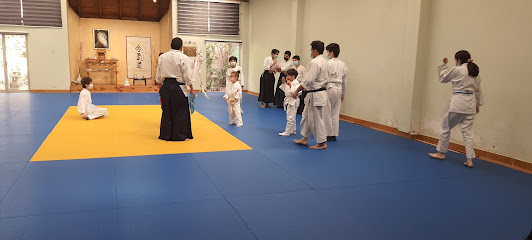 CENTRO CULTURAL DE AIKIDO AIKIKAI CHILE