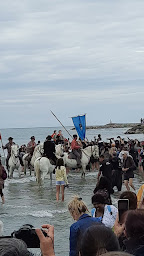 Photo n°39 de Lou Gabian à Saintes-Maries-de-la-Mer ()