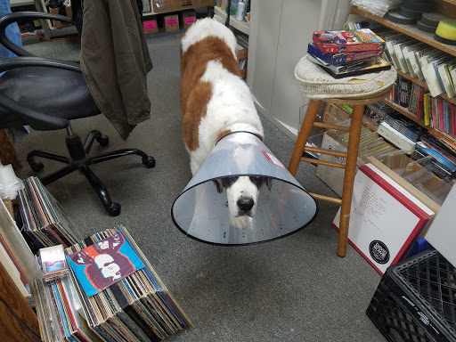 Record Store «Flipside Records», reviews and photos, 41 E 14 Mile Rd, Clawson, MI 48017, USA