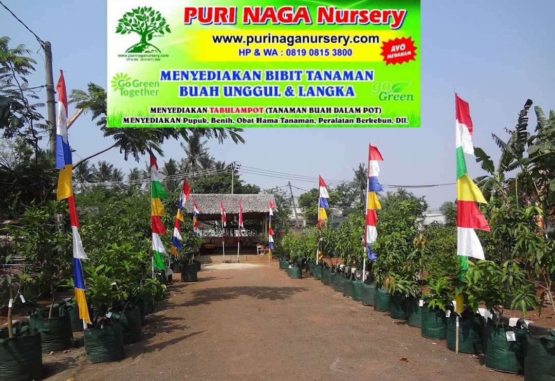 PURI NAGA Nursery