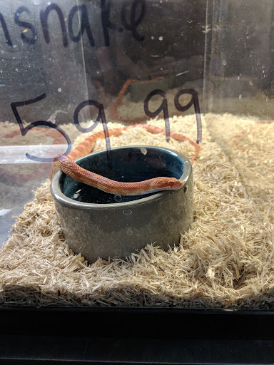 Pet Store «Wildside Pets», reviews and photos, 1042 N Higley Rd #105, Mesa, AZ 85205, USA