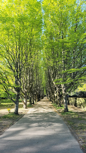 Tree alley