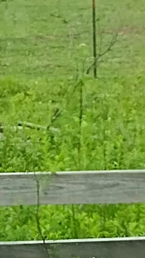 Jeweler «Cleveland Jewelry Exchange», reviews and photos, 414 Northfield Rd, Bedford, OH 44146, USA