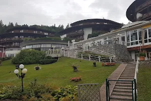 Hotel Alpenkönig image