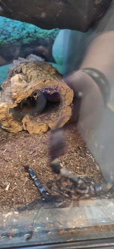 Pet Supply Store «Petsense Fort Worth», reviews and photos, 1408 Eastchase Pkwy #100, Fort Worth, TX 76120, USA