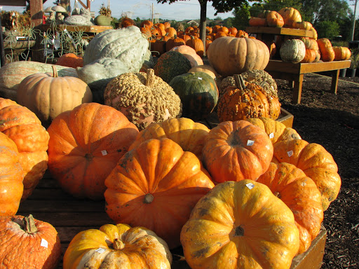 Florist «Countryside Flower Shop», reviews and photos, 5301 E Terra Cotta Ave, Crystal Lake, IL 60014, USA