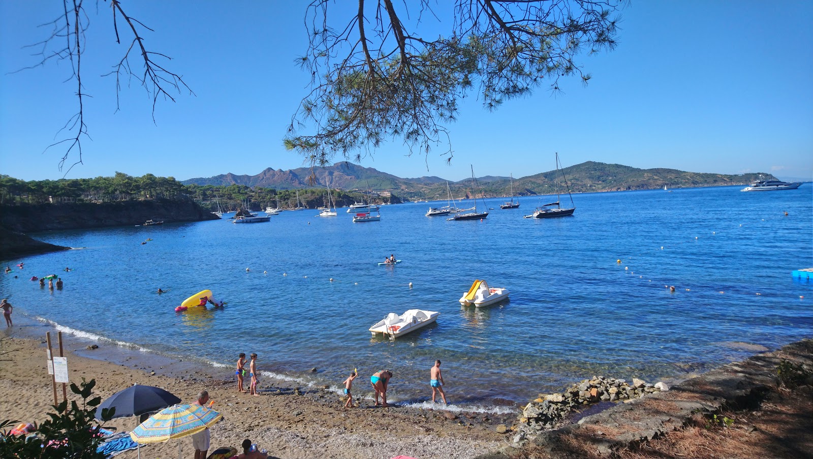 Foto af Calanova beach beliggende i naturområde