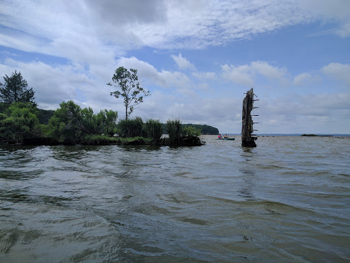 Tourist Attraction «Mallows Bay», reviews and photos, 1440 Wilson Landing Rd, Nanjemoy, MD 20662, USA