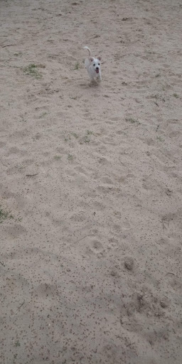 Park «Arnold Park», reviews and photos, 1011 Gillette Blvd, San Antonio, TX 78224, USA