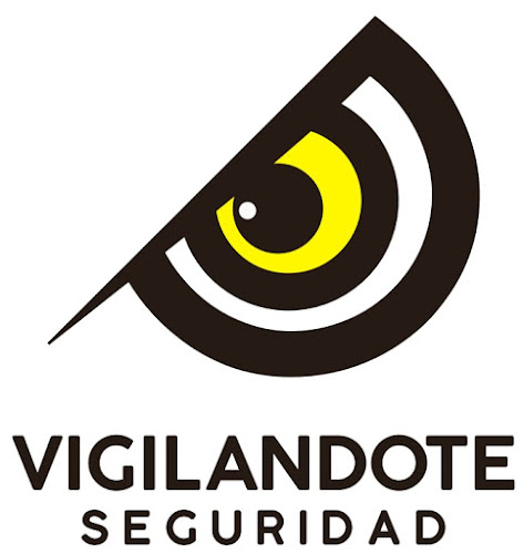 Opiniones de vigilandote.com en Viña del Mar - Oficina de empresa