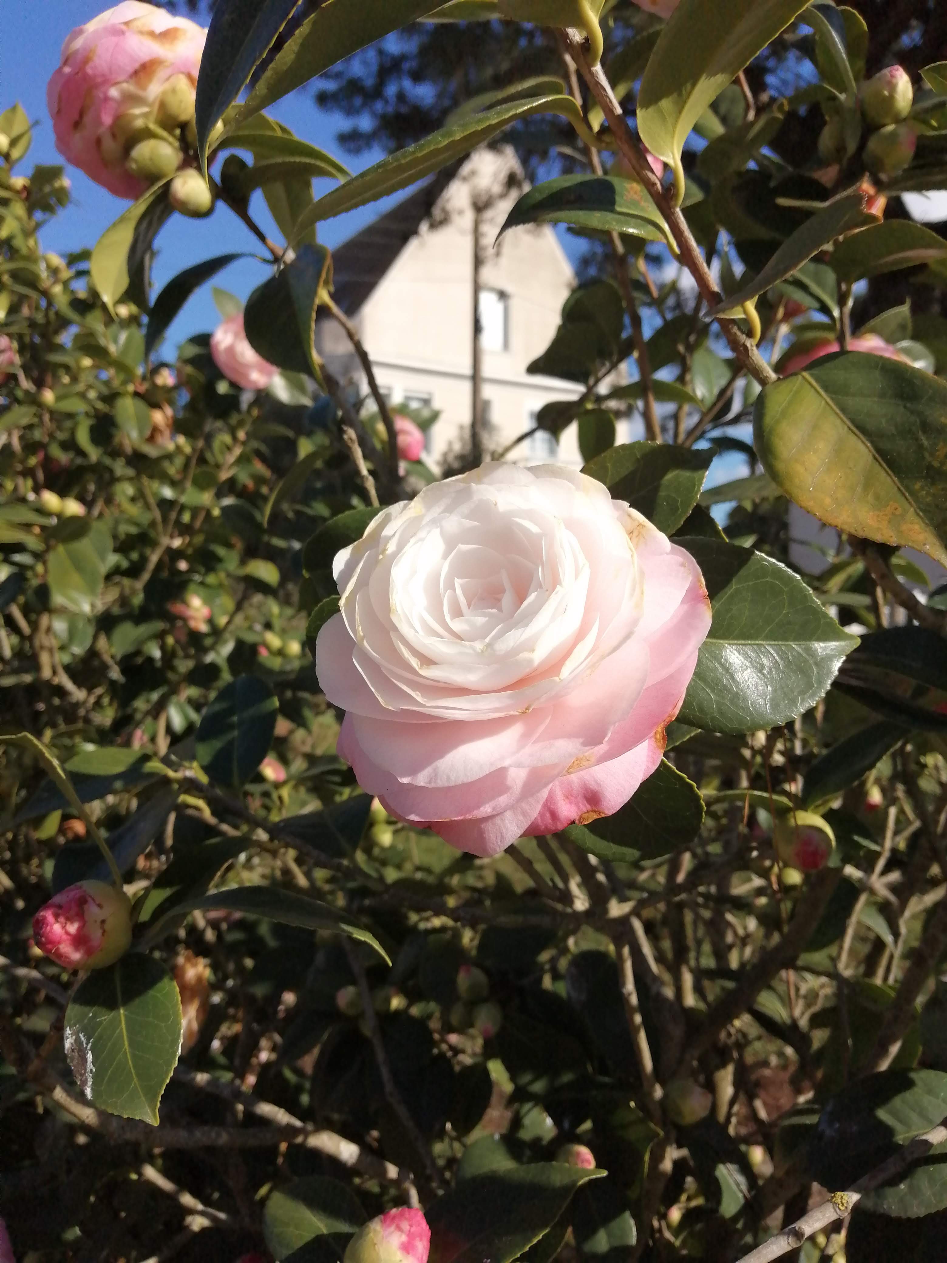 Photo n° 9 de l'avis de Virginie.E fait le 10/09/2020 à 16:43