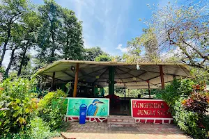 Dandeli Kingfisher Jungle Stay image