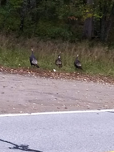 Golf Club «Crystal Lake Golf Club», reviews and photos, 100 Broncos Hwy, Mapleville, RI 02839, USA