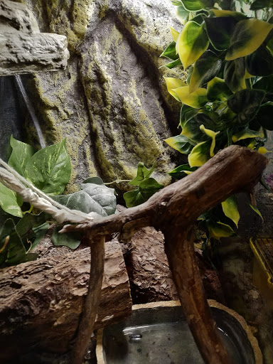 Pet Supply Store «PetSmart», reviews and photos, 8014 Old Carriage Ct, Shakopee, MN 55379, USA