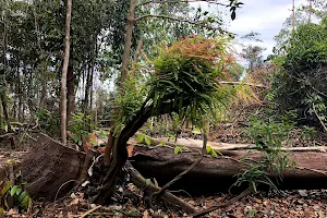 Endau River image