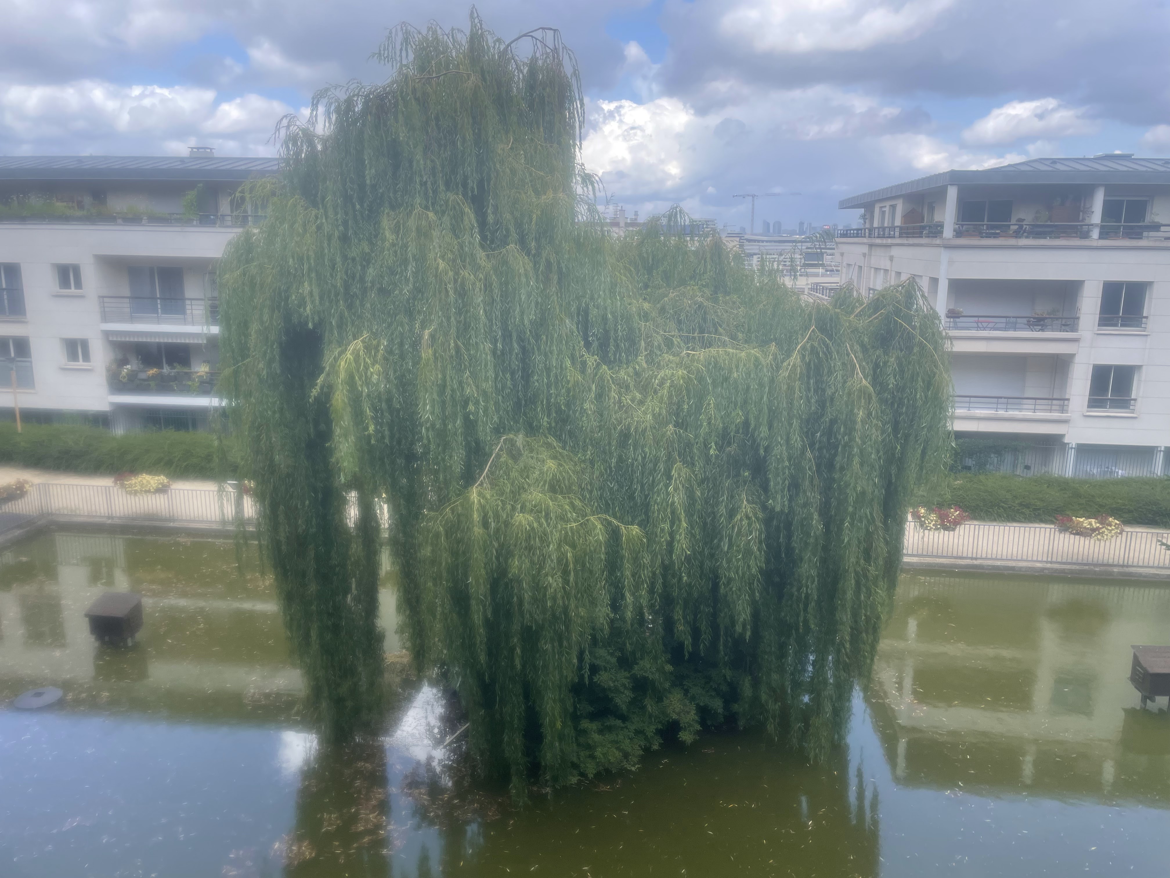 Photo n° 4 de l'avis de Gh.a fait le 15/08/2021 à 21:03
