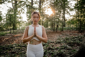 Yoga Training Hamburg