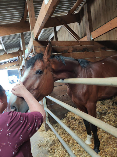 CAPO VERONIQUE CE LA COQUELINIERE à Auvers-le-Hamon, Sarthe