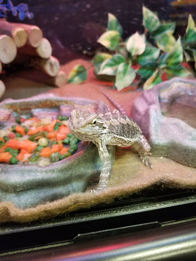 Pet Supply Store «PetSmart», reviews and photos, 640 W 300 N, Warsaw, IN 46582, USA