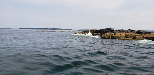 Sightseeing Tour Agency «Lulu Lobster Boat Ride», reviews and photos, 55 West St, Bar Harbor, ME 04609, USA