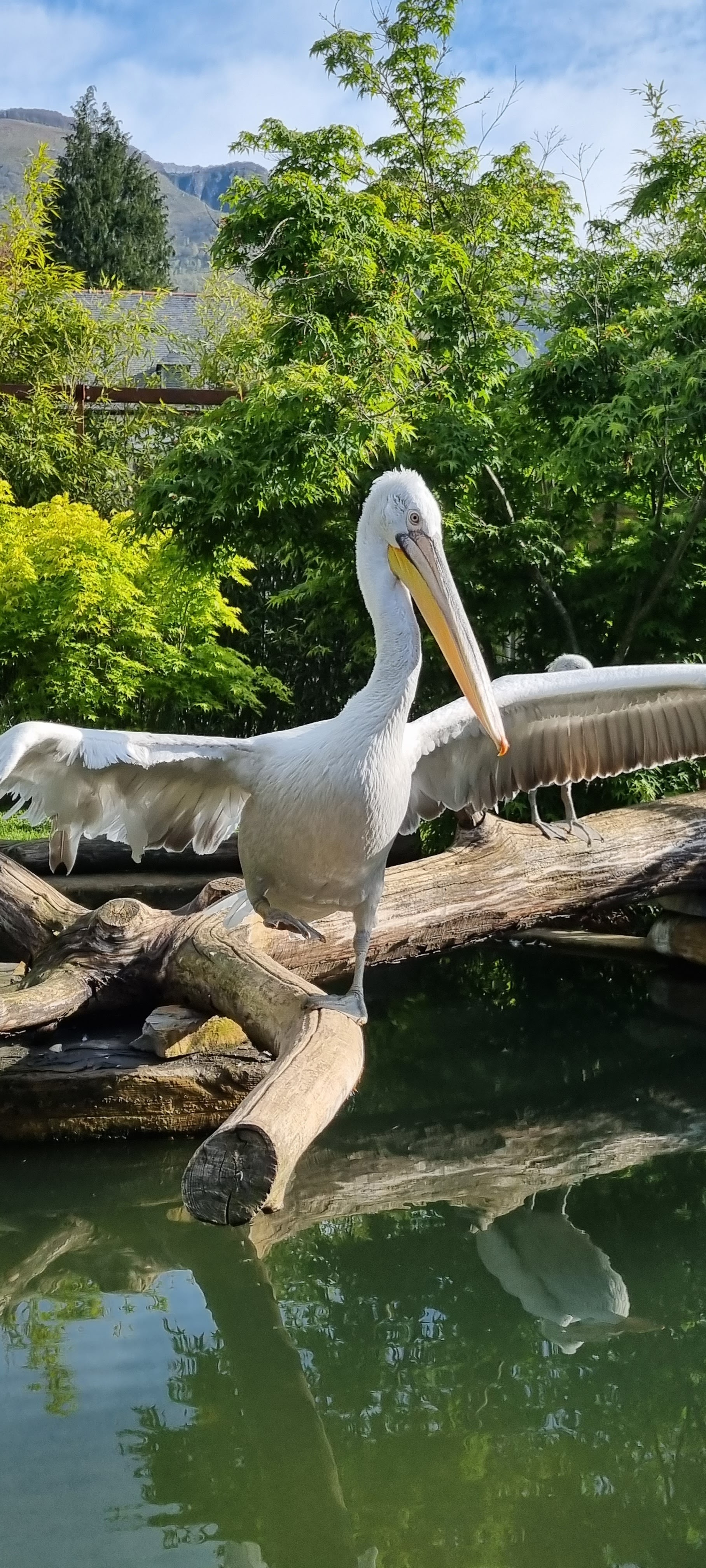 Photo n° 16 de l'avis de Anne.a fait le 25/04/2022 à 13:04