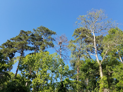 Park «Jesse H. Jones Park & Nature Center», reviews and photos, 20634 Kenswick Dr, Humble, TX 77338, USA