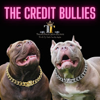 Taylor & Taylor Credit Solutions - Photo 4 - Car repair in Greensboro, NC, Greensboro