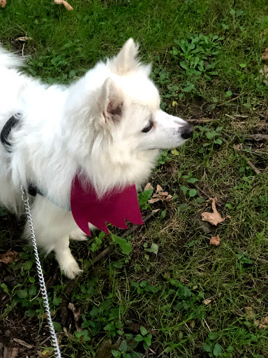 Live Music Venue «Revolution Hall», reviews and photos, 1300 SE Stark St #110, Portland, OR 97214, USA