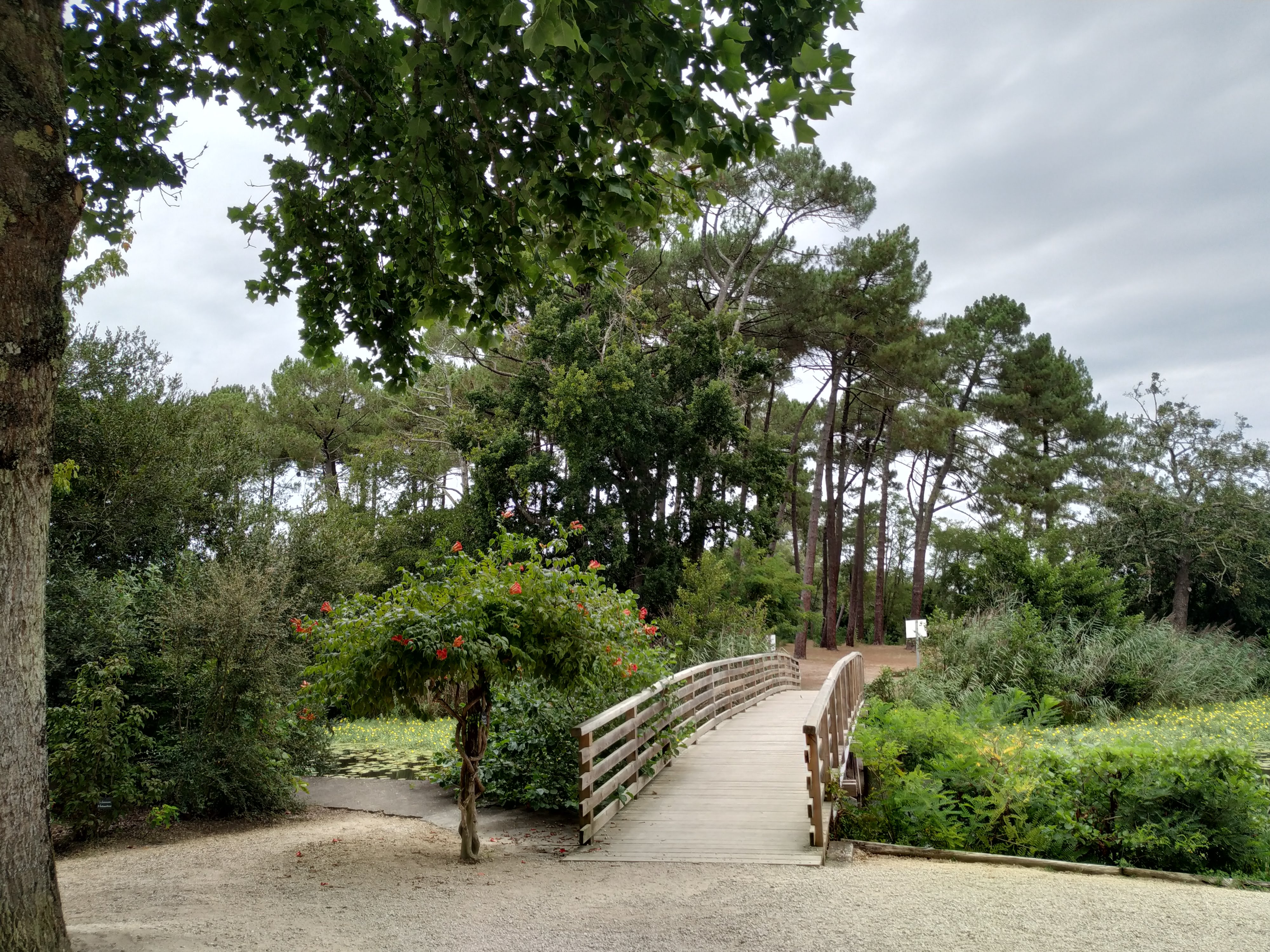 Photo n° 26 de l'avis de emmanuel.6 fait le 27/08/2019 à 16:24