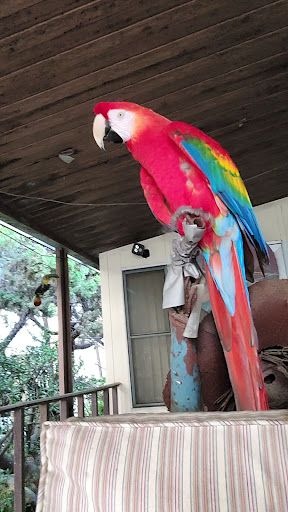 Pet Supply Store «PetSmart», reviews and photos, 33963 Doheny Park Rd, San Juan Capistrano, CA 92675, USA