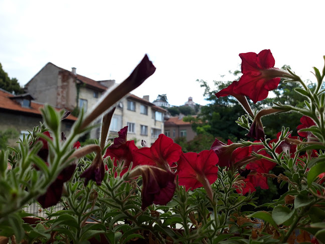 Comentarii opinii despre Стаи за гости Филипопол