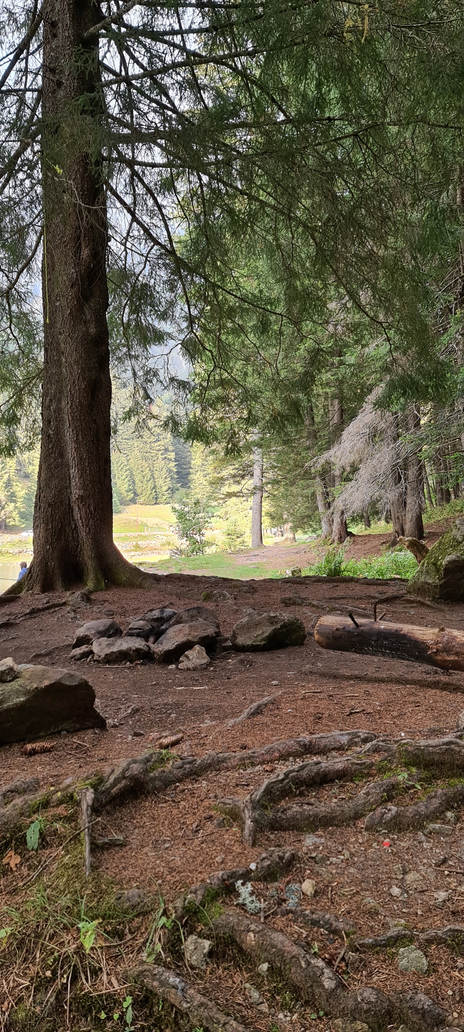 Photo n° 2 de l'avis de Stéphane.A fait le 20/09/2020 à 13:43