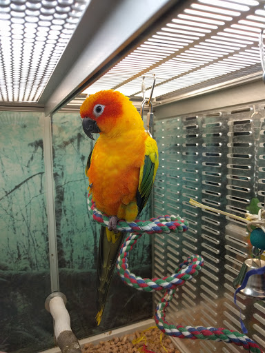 Pet Supply Store «Pet Supplies Plus», reviews and photos, 26230 Hoover Rd, Warren, MI 48089, USA