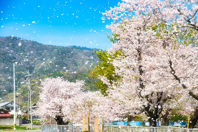 松島千本桜