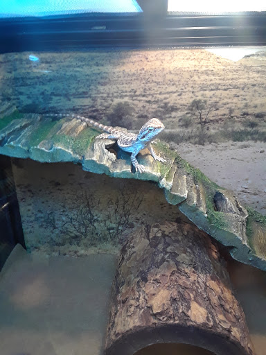 Pet Supply Store «PetSmart», reviews and photos, 3995 Welsh Rd, Willow Grove, PA 19090, USA