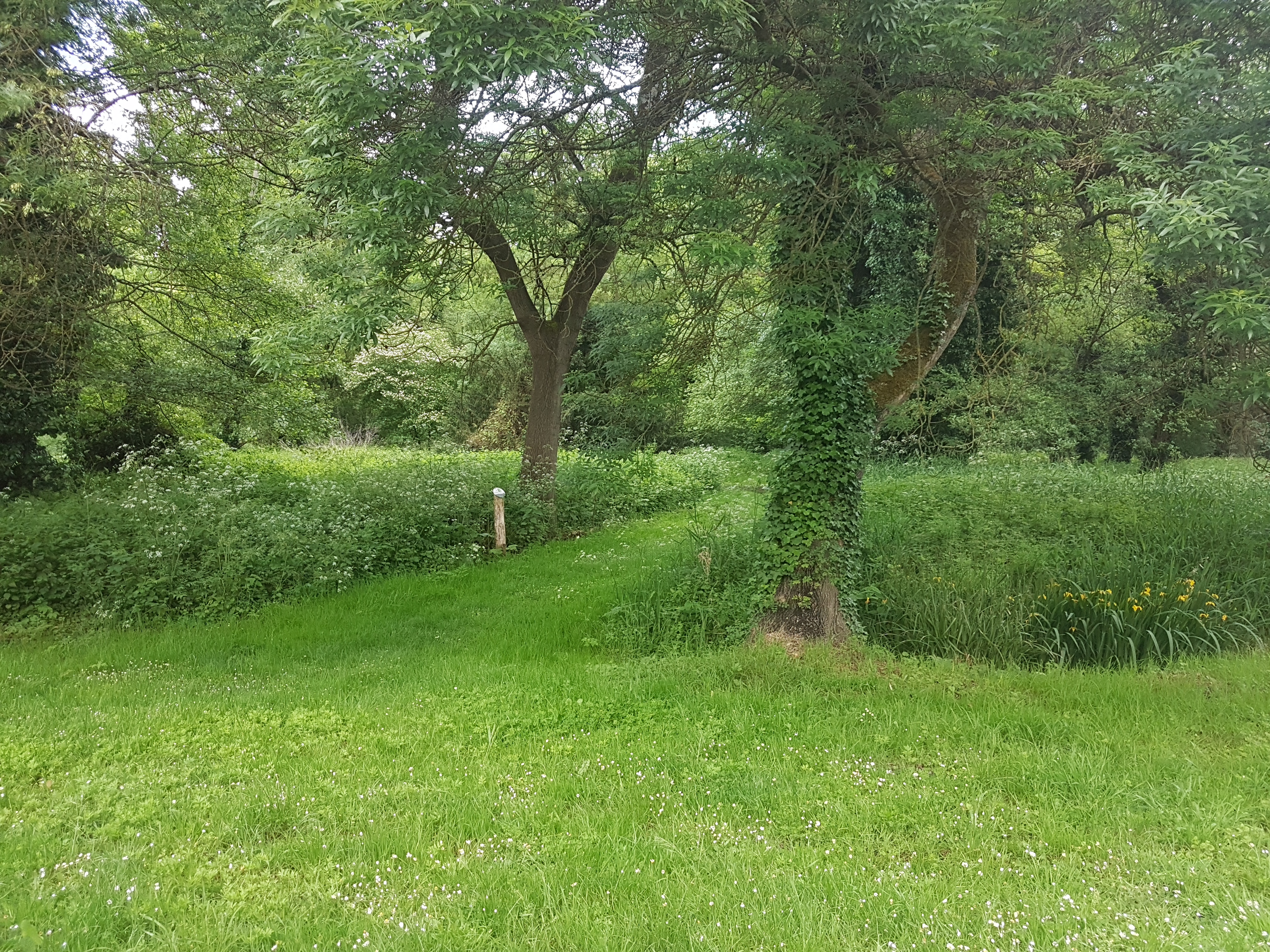 Photo n° 1 de l'avis de Bassito.m fait le 08/05/2019 à 18:32
