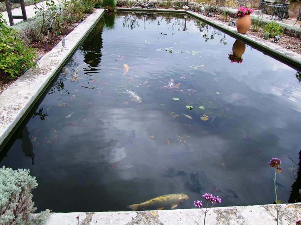 Photo n° 3 de l'avis de stephane.a fait le 09/09/2020 à 19:39