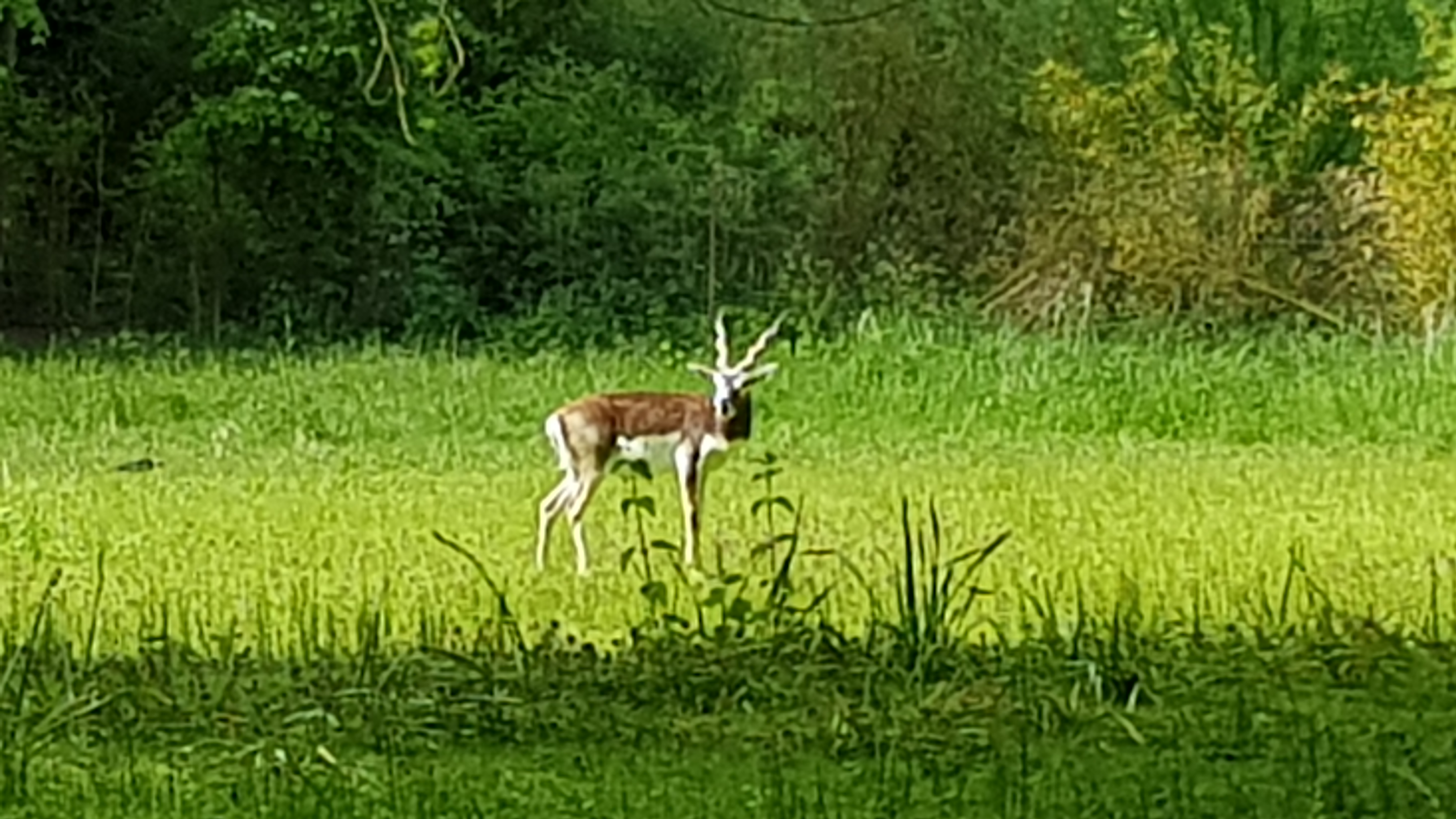 Photo n° 2 de l'avis de Tirlipinpon.u fait le 12/05/2019 à 18:48
