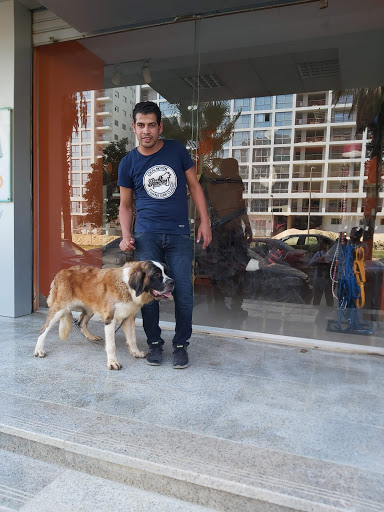 Dog handlers in Cairo