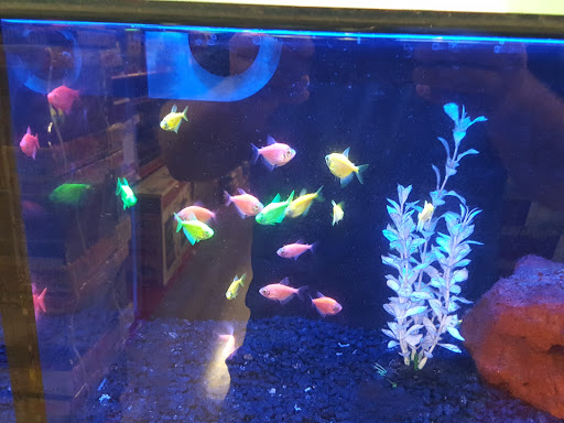 Pet Supply Store «Petco Animal Supplies», reviews and photos, 3731 Gateway Dr, Eau Claire, WI 54701, USA