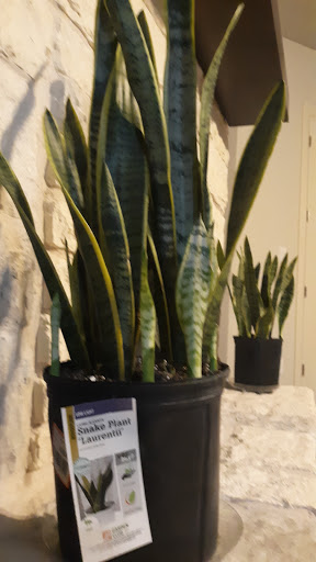 Home Improvement Store «The Home Depot», reviews and photos, 1200 Home Depot Blvd, Sunset Valley, TX 78745, USA