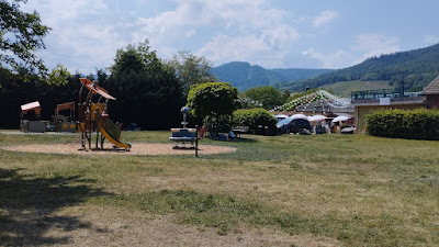 Parc a cigognes à Turckheim