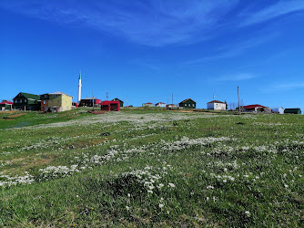 Düz Yayla Camii