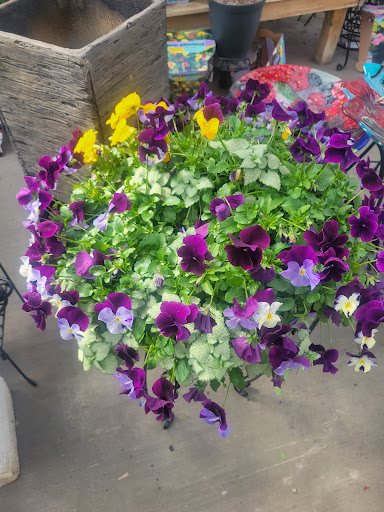 Garden Center «Agriventures Agway», reviews and photos, 126 Housatonic Ave, New Milford, CT 06776, USA